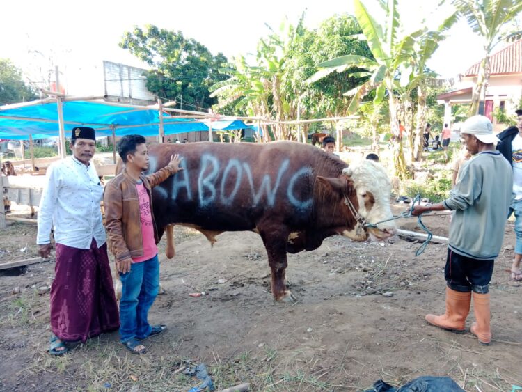 Prabowo Salurkan Puluhan Hewan Qurban ke Ponpes-ponpes dan Ormas Keagamaan di Jawa Timur