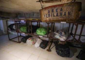 Dari Pemilahan Hingga Budidaya Maggot, PVJ Bandung Olah 3,5 Ton Sampah per Hari
