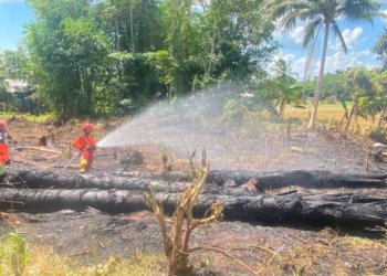 Update Bencana 21 Juli: Karhutla Marak, Pemda Diimbau Tingkatkan Kesiapsiagaan